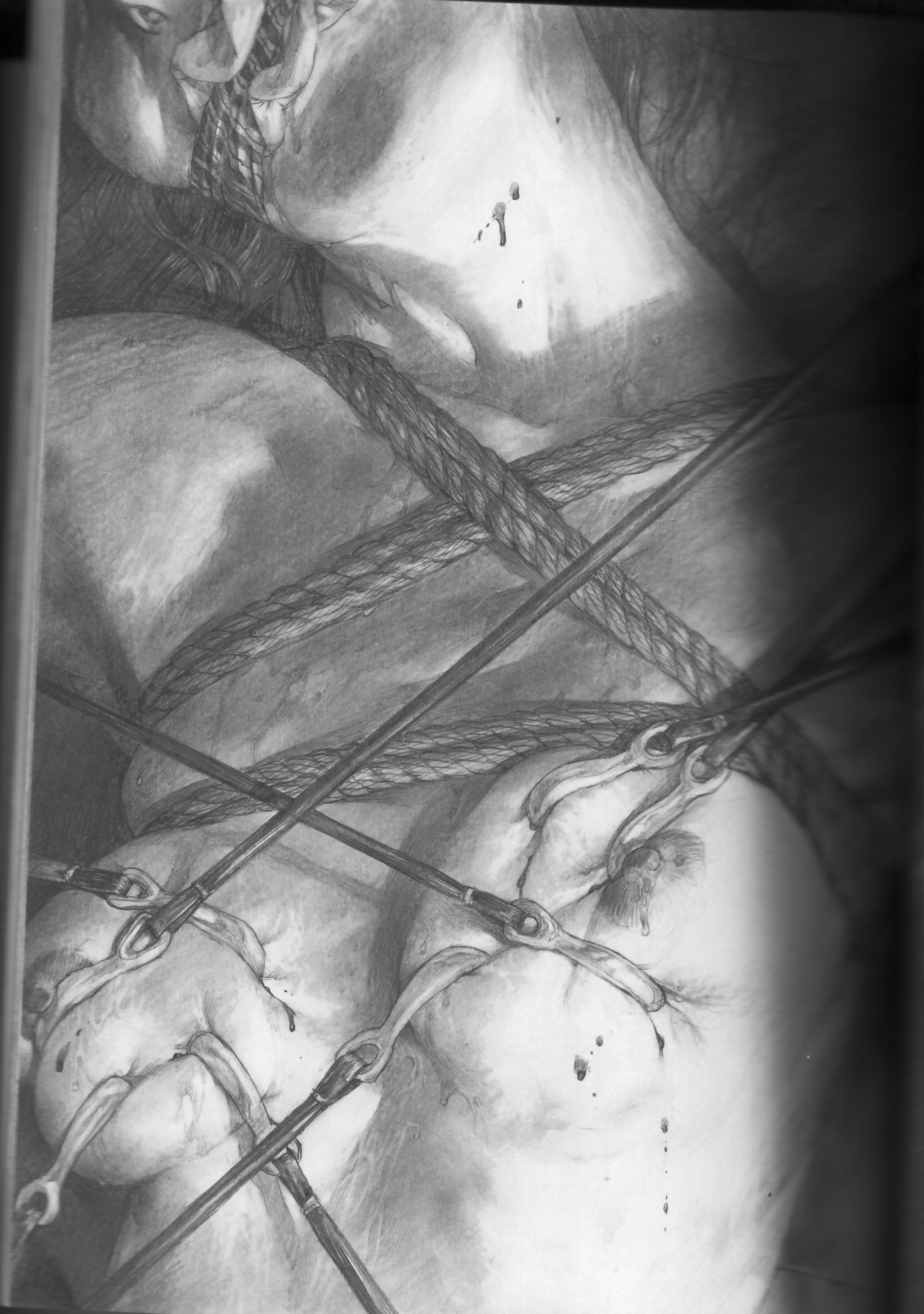 hiroaki samura, highres, bdsm, blood, bondage, bound, breast torture, breasts, gag, guro, hook, monochrome, nipples, pencil, realistic, rope, tears, torture