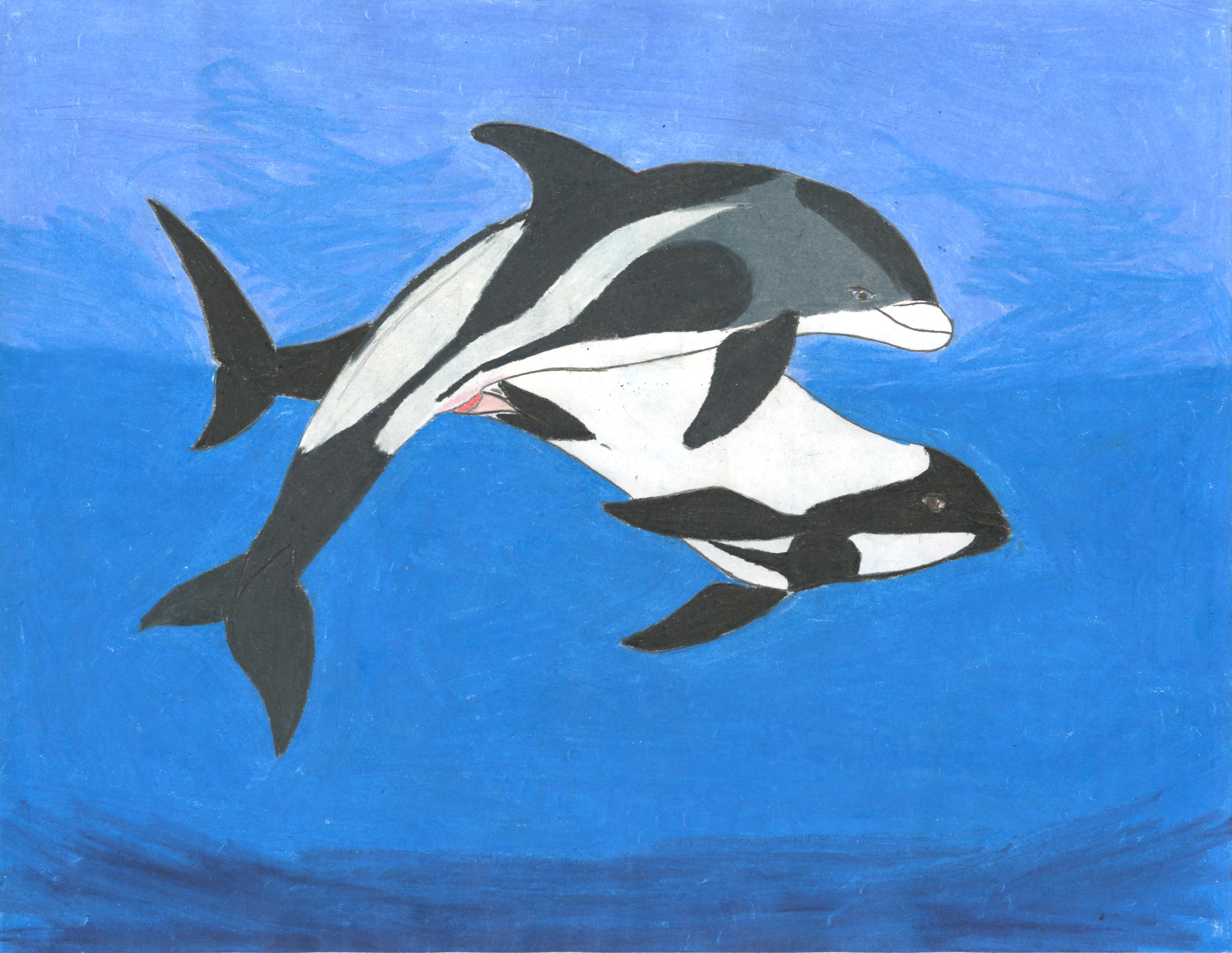 Rule34 – If it exists, there is porn of it / dreigiau-arian / 252194