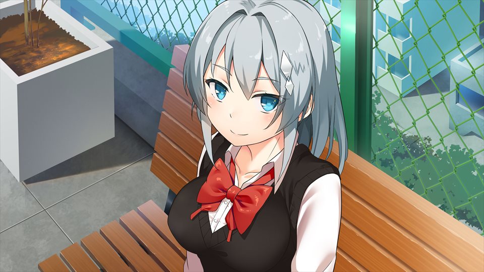 machiyuki ricka, moe! ninja girls, game cg, official art, third-party source, 1girl, bench, blue eyes, bow, bowtie, breasts, closed mouth, collared shirt, day, grey hair, hair between eyes, large breasts, looking at viewer, on bench, on rooftop, red bow, red bowtie, school rooftop, school uniform, shirt, sitting, smile, solo, upper body