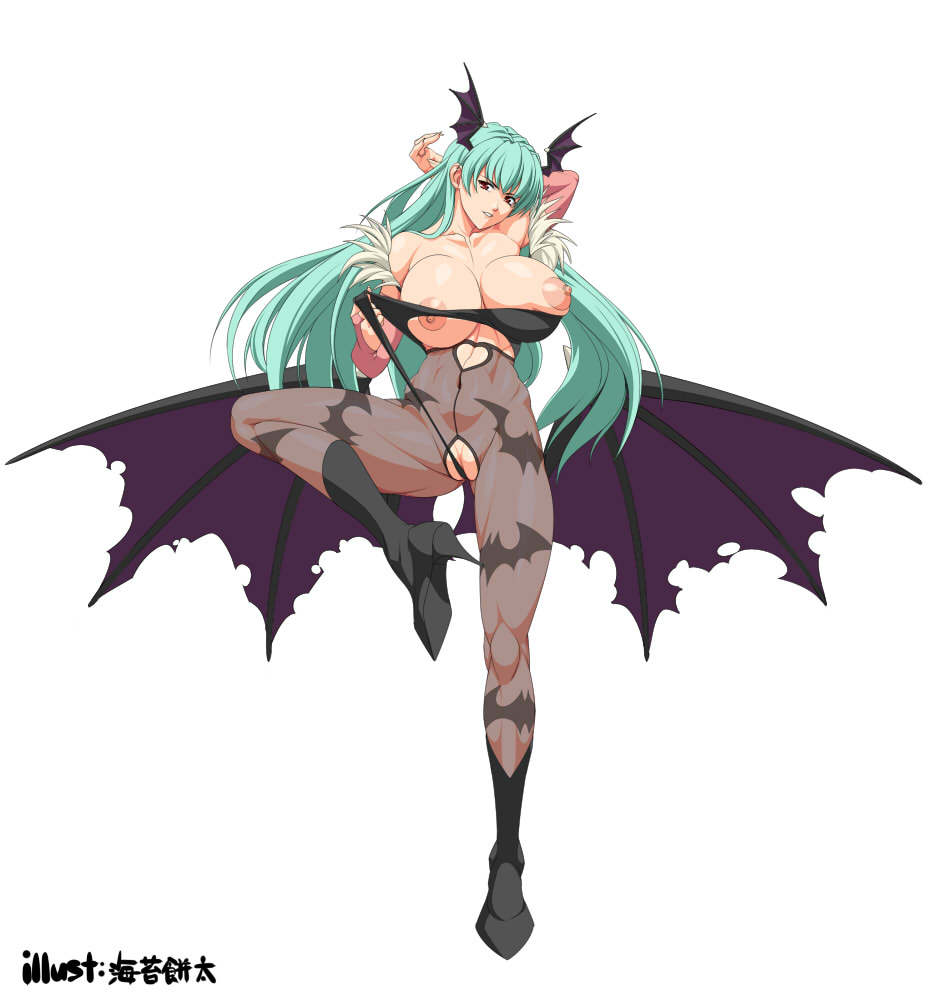 Rule34 – If it exists, there is porn of it / noriheita, morrigan aensland / 252431