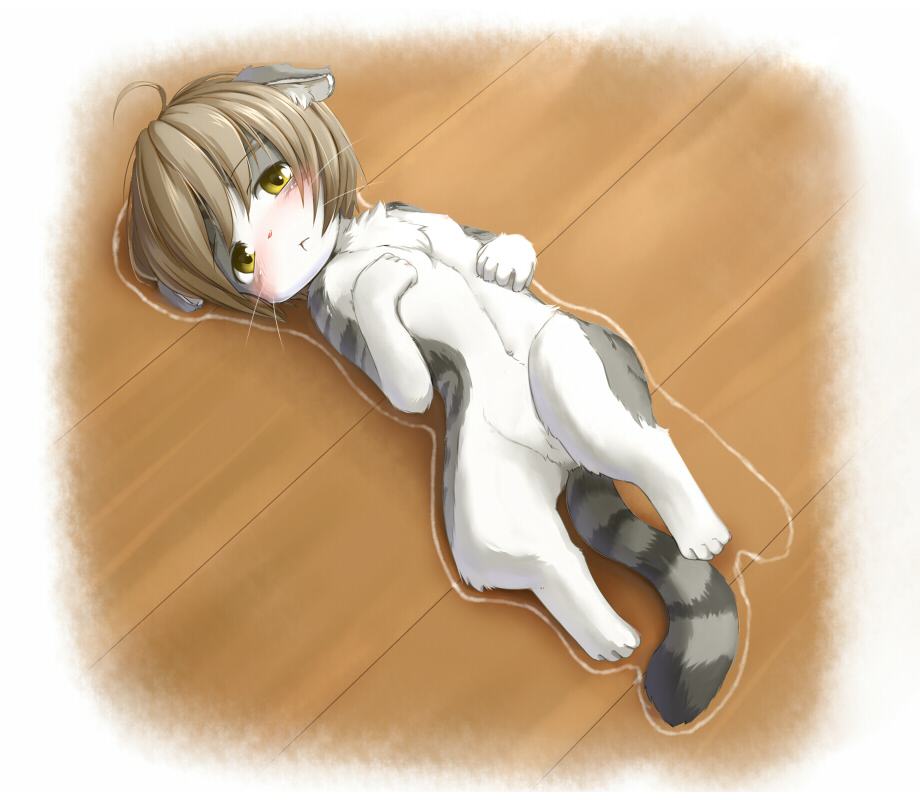 kagerofu, 1girl, :<, ahoge, animal ears, animal hands, barefoot, blush, brown hair, cat, cat ears, cat tail, chalk, female focus, from above, furry, furry female, loli, looking at viewer, lying, nude, solo, tail, whiskers, yellow eyes