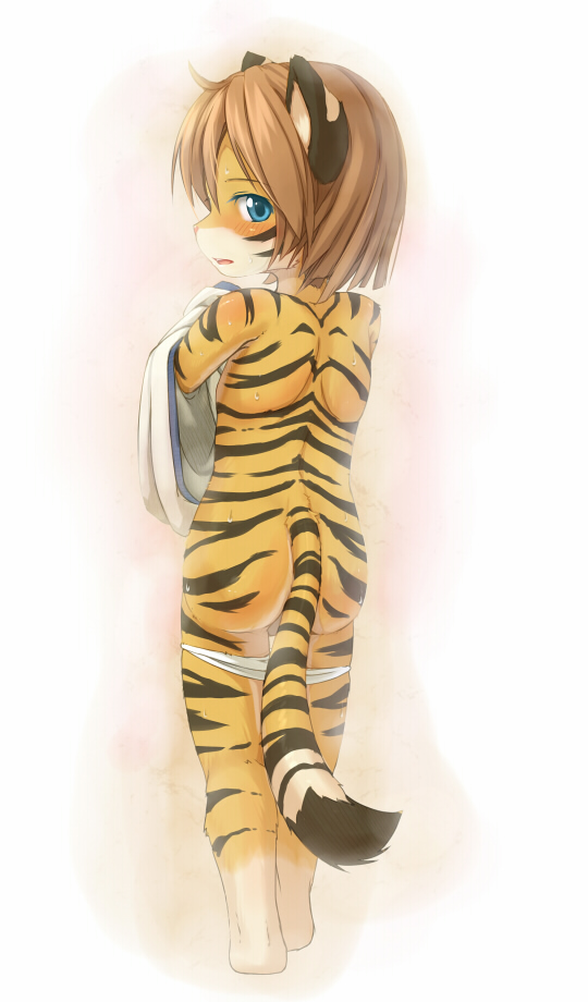 kagerofu, animal ears, animal hands, ass, back, barefoot, blue eyes, blush, furry, loli, looking back, nude, panties, sweat, tail, tiger, tiger ears, tiger tail, topless female, underwear, undressing, wet