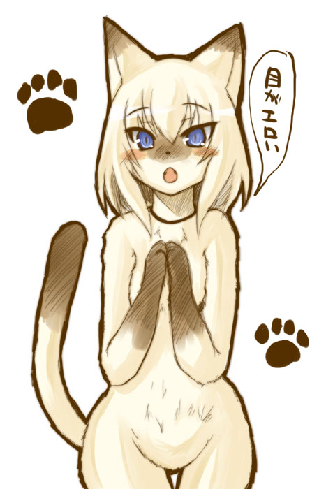 animal ears, animal hands, blue eyes, blush, cat ears, cat tail, fangs, furry, nude, open mouth, tail