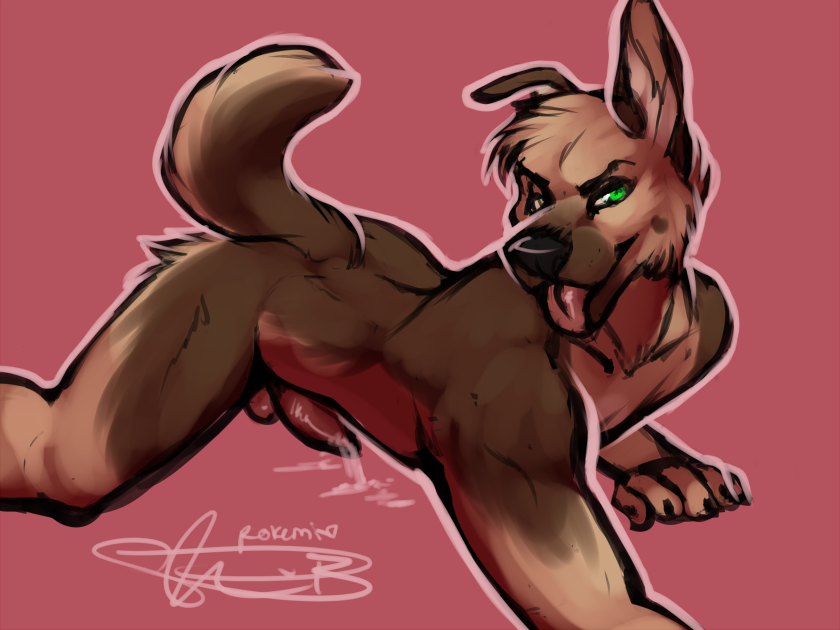 Rule34 – If it exists, there is porn of it / rokemi, shadydog / 252779