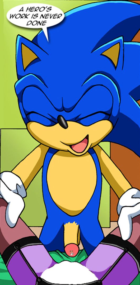 Rule34 – If it exists, there is porn of it / sonic the hedgehog / 253254