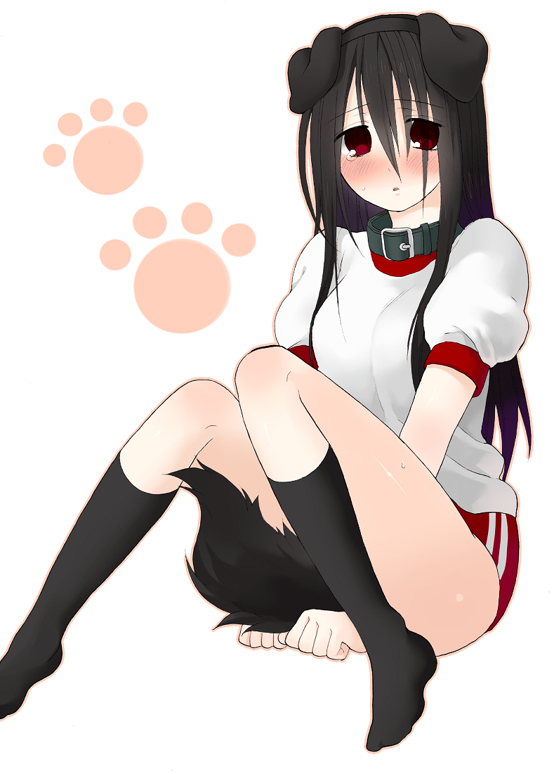 momo uzura, komori kiri, sayonara zetsubou sensei, bad id, bad pixiv id, 00s, animal ears, black hair, blush, buruma, collar, dog ears, dog tail, gym uniform, hairband, kneehighs, long hair, red eyes, socks, solo, tail