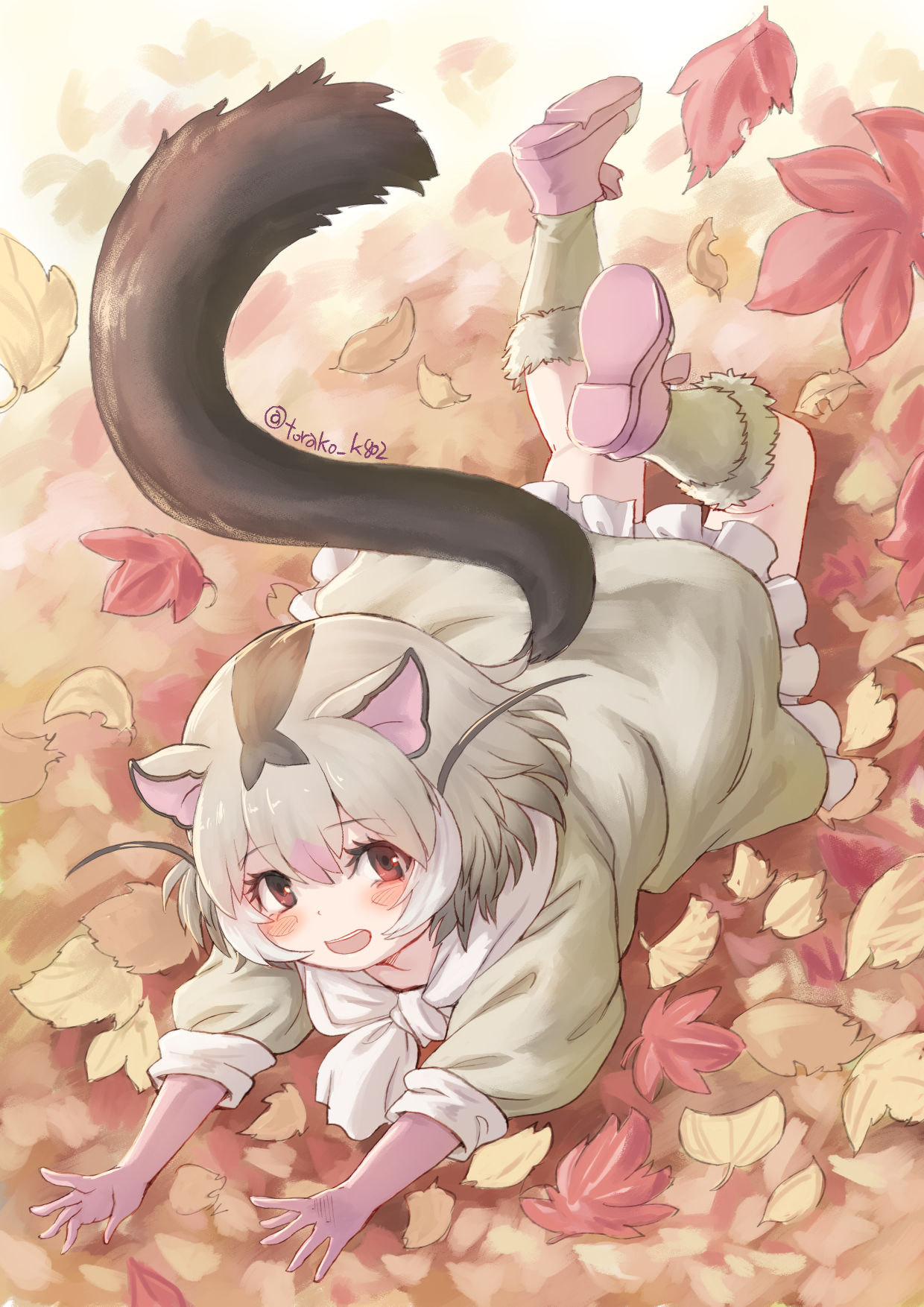 kosai takayuki, kemono friends, highres, animal ears, autumn leaves, blush, brown hair, dormouse (kemono friends), dress, elbow gloves, frilled dress, frills, fur socks, fur trim, gloves, grey dress, grey fur, grey hair, hair between eyes, jumping, leaf, leaf pile, looking at viewer, lying, mouse ears, mouse girl, mouse tail, multicolored hair, on stomach, open mouth, pink gloves, pink shoes, puffy sleeves, red eyes, scarf, shoes, short hair, sidelocks, smile, tail, white hair, white scarf