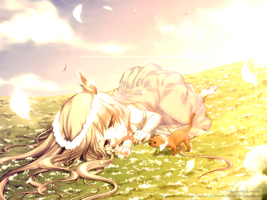 shouna mitsuishi, original, 1girl, barefoot, bird, dog, female focus, field, flower, long hair, lying, nature, outdoors, petals, sky, smile, solo