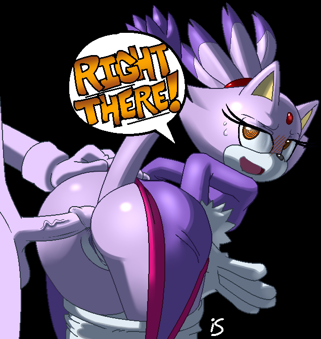 Rule34 – If it exists, there is porn of it / hotred, blaze the cat / 253950