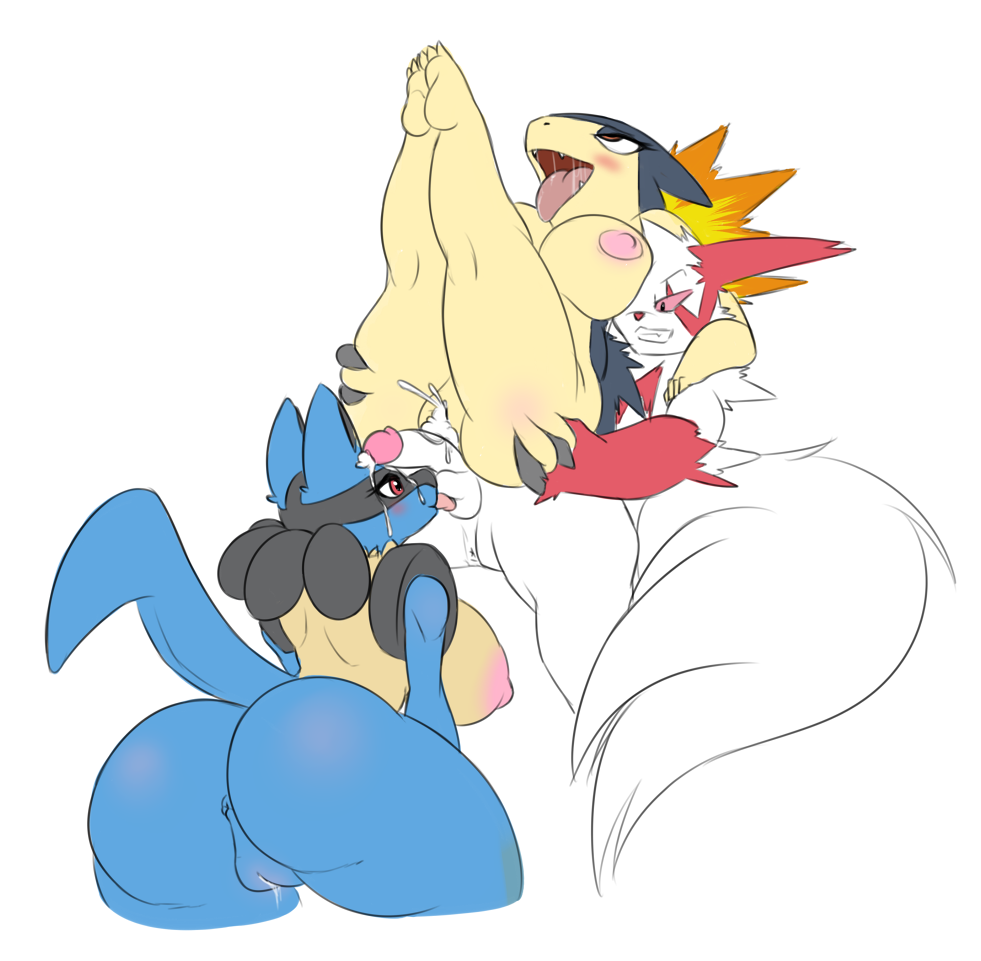 Rule34 – If it exists, there is porn of it / datbritishmexican, lucario, typhlosion, zangoose / 253969