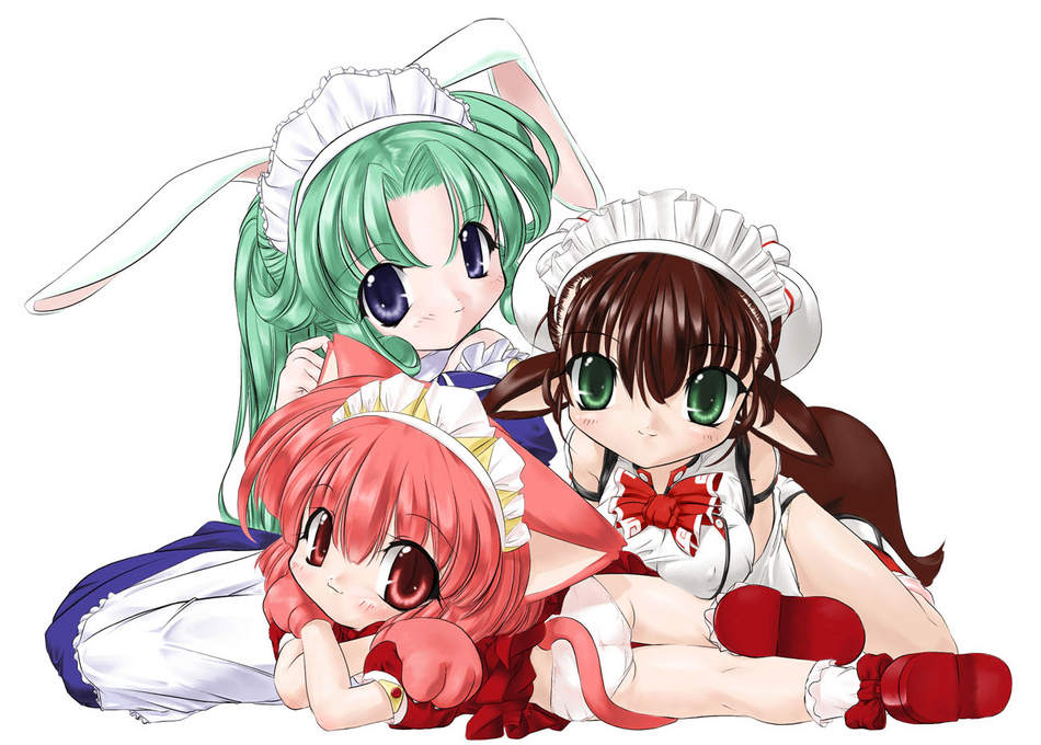 3girls, animal ears, chibi, maid, multiple girls, tail