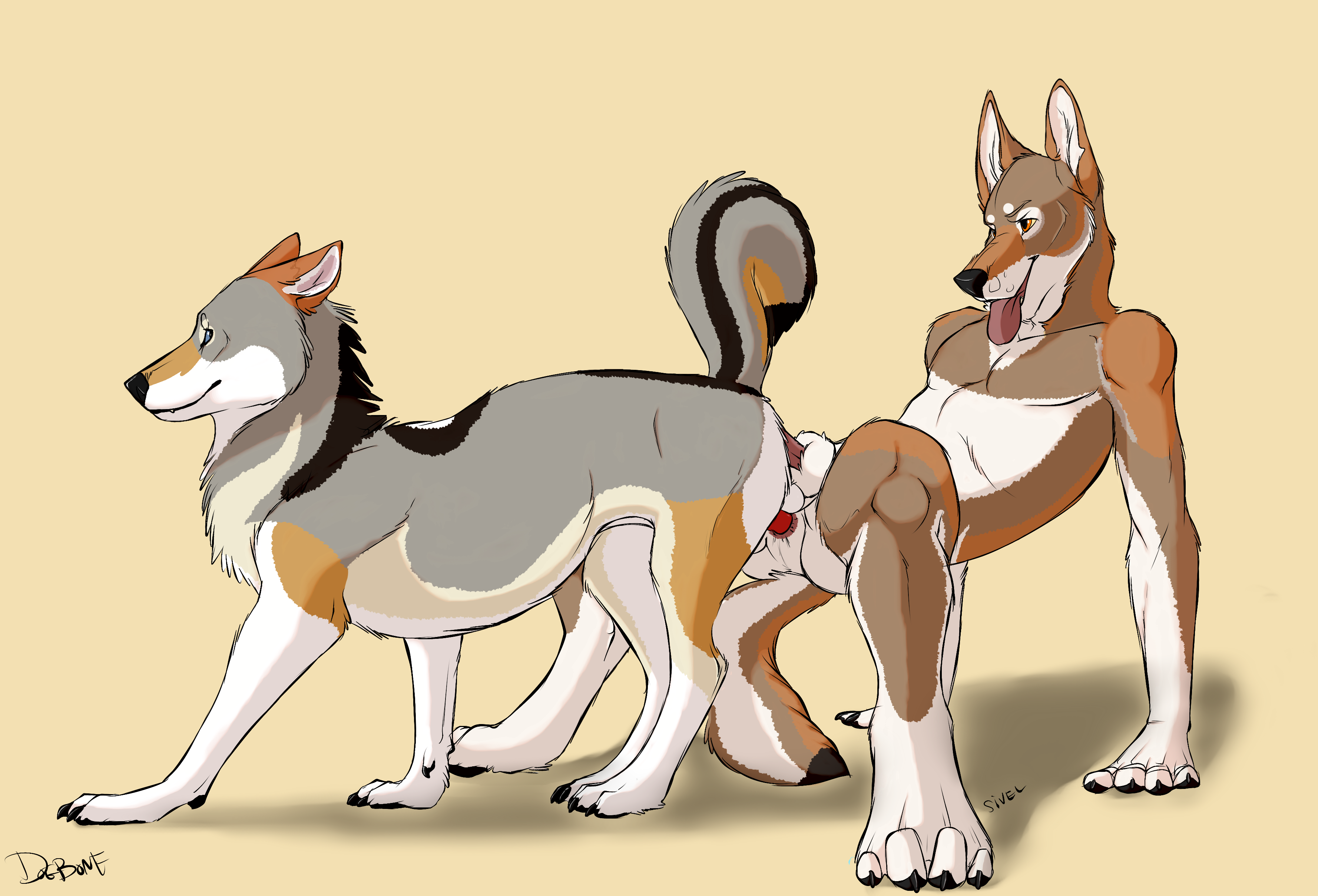 Rule34 – If it exists, there is porn of it / dog-bone, terak / 254095