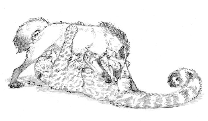 Rule34 – If it exists, there is porn of it / ebonytigress / 254352