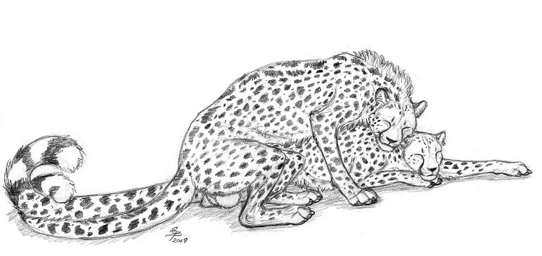 Rule34 – If it exists, there is porn of it / ebonytigress / 254431