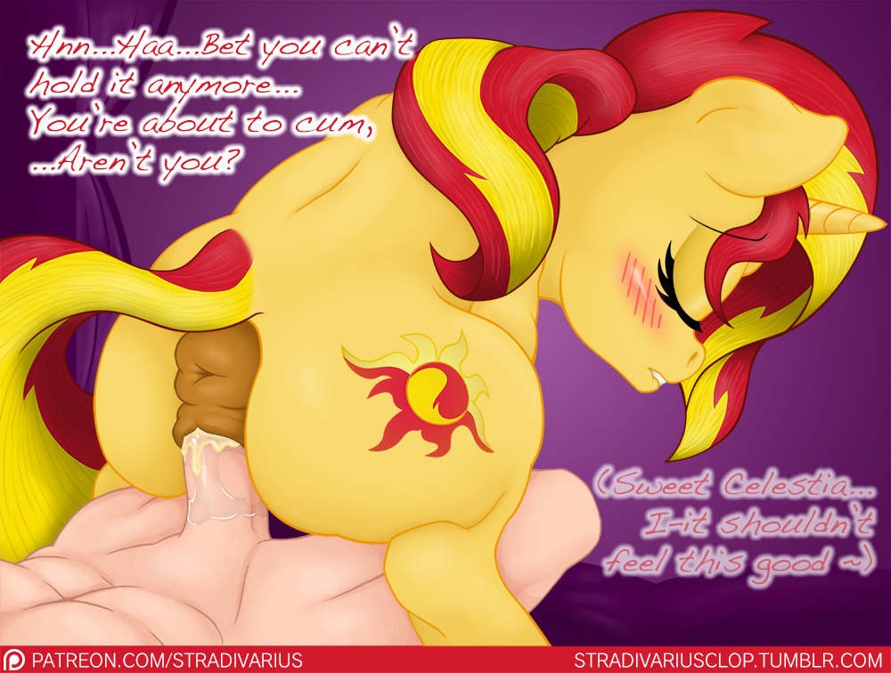 Rule34 – If it exists, there is porn of it / stradivarius, sunset shimmer / 254615