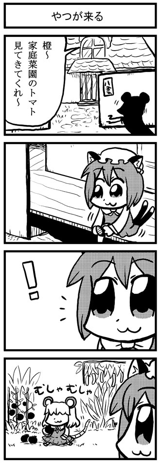 bkub, chen, nazrin, touhou, translation request, 4koma, :3, animal ears, cat ears, cat girl, cat tail, chibi, comic, female focus, greyscale, hair over eyes, hat, monochrome, mouse ears, mouse tail, multiple tails, short hair, tail
