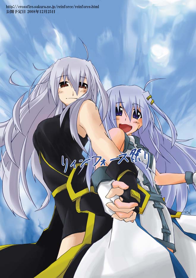 aki noyuki, ragsis, reinforce, reinforce zwei, lyrical nanoha, macross, macross frontier, mahou shoujo lyrical nanoha, mahou shoujo lyrical nanoha a's, mahou shoujo lyrical nanoha strikers, silver hair, bad id, bad pixiv id, 2girls, back-to-back, blue eyes, holding hands, lion (macross frontier), long hair, multiple girls, parody, purple hair, red eyes, time paradox