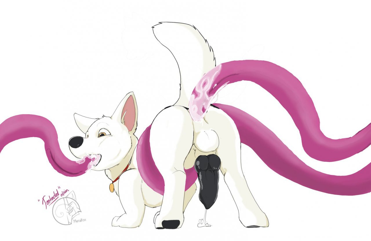 Rule34 – If it exists, there is porn of it / metalfox, bolt (character) / 255131