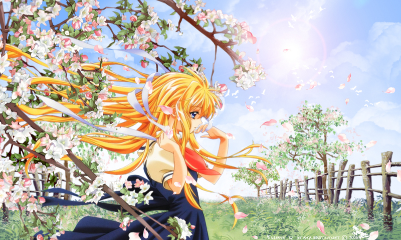 blonde hair, blue eyes, long hair, summer, wind