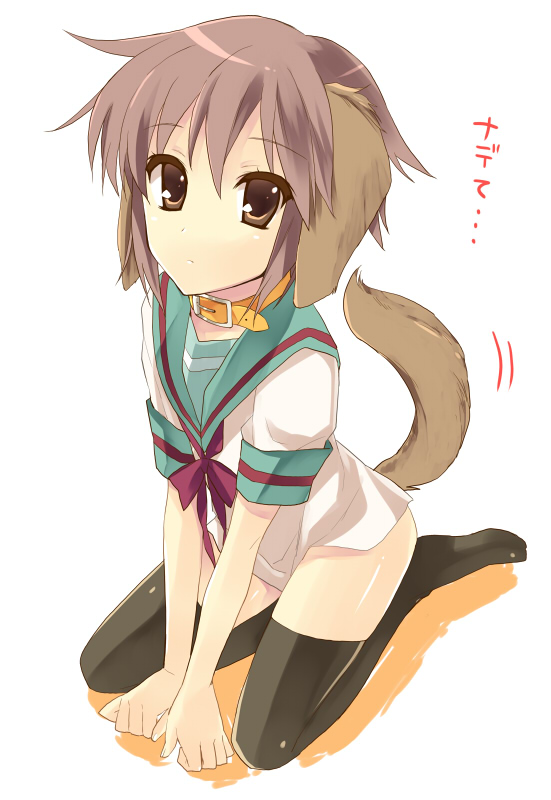 hijiki (hijikini), hijikini, nagato yuki, suzumiya haruhi no yuuutsu, 00s, 1girl, animal ears, black thighhighs, bottomless, brown eyes, collar, dog ears, dog tail, female focus, kneeling, no pants, purple hair, school uniform, serafuku, short hair, solo, tail, tail wagging, thighhighs