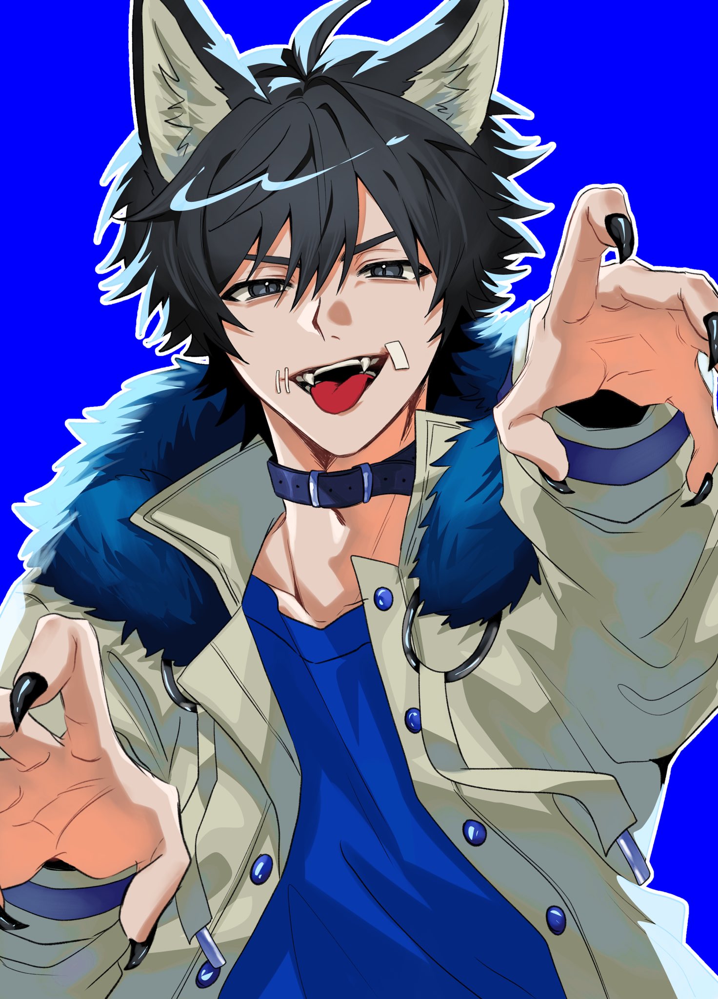 naib subedar, naib subedar (oph.naib), identity v, commentary, highres, 1boy, ahoge, belt collar, black eyes, black hair, black nails, blue background, blue shirt, buttons, cheese hr, claw pose, collar, fangs, fur trim, hair between eyes, high collar, jacket, kemonomimi mode, male focus, o-ring, shirt, short hair, simple background, solo, stitched mouth, stitches, tongue, tongue out, white jacket