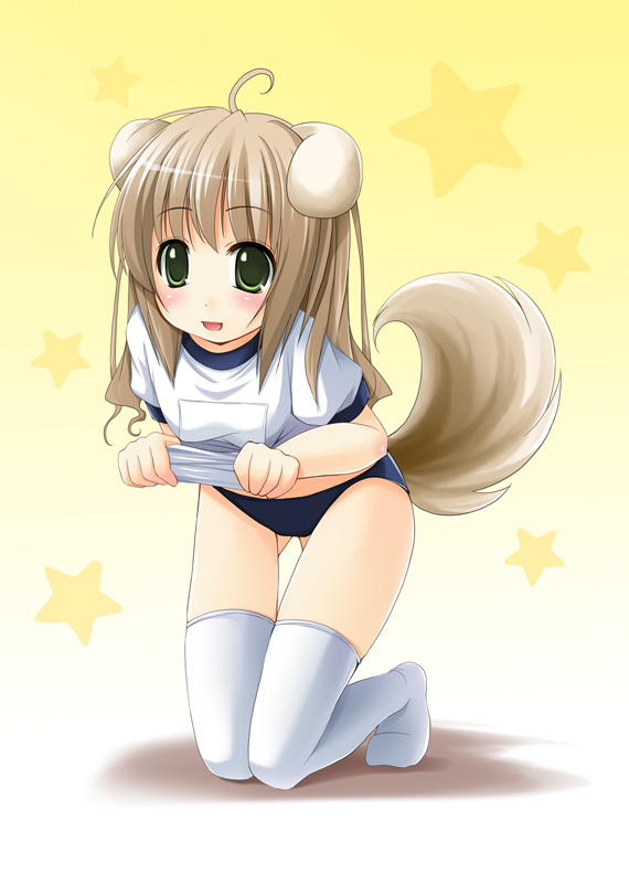shibacha, 1girl, ahoge, animal ears, blush, buruma, clothes lift, dog ears, dog tail, dot nose, female focus, green eyes, gym uniform, kneeling, open mouth, solo, star (symbol), star symbol background, tail, thighhighs, white thighhighs