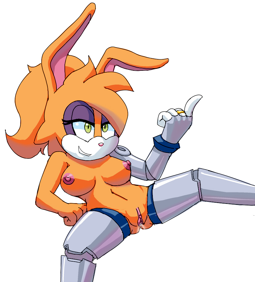 Rule34 – If it exists, there is porn of it / extraspecialzone, bunnie rabbot / 256094