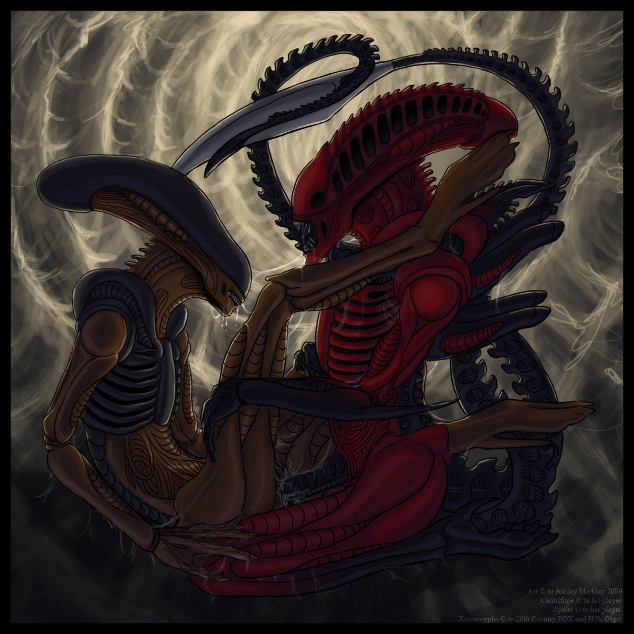 Rule34 – If it exists, there is porn of it / t. markley, xenomorph / 256234