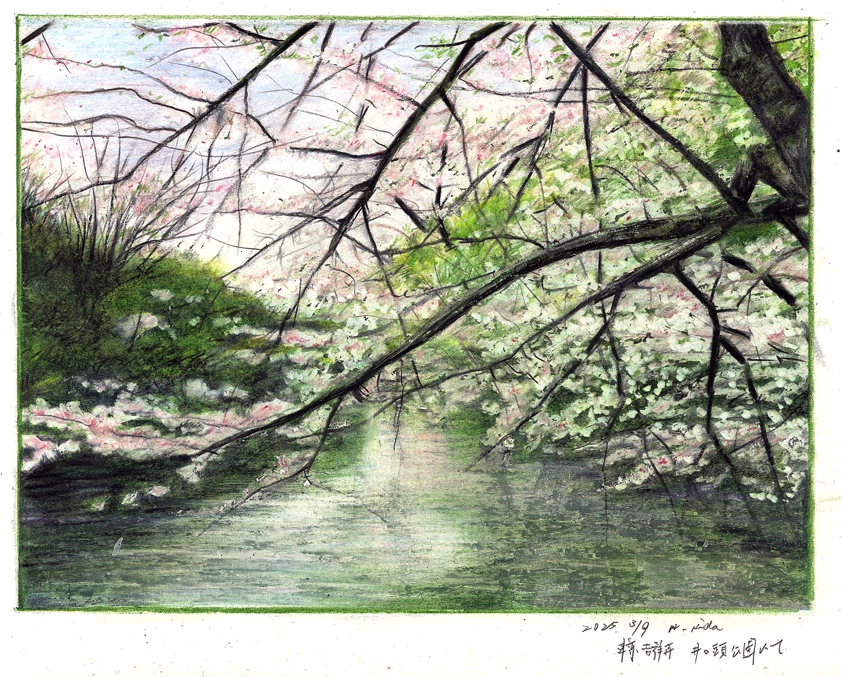 original, colored pencil (medium), commentary request, highres, traditional media, translation request, baden hiroshi, border, cherry blossoms, dated, day, no humans, outdoors, scenery, spring (season), tree, white border