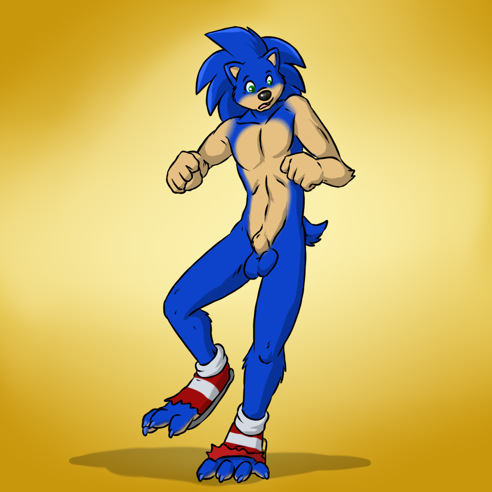 Rule34 – If it exists, there is porn of it / aggrobadger, sonic the hedgehog / 256704