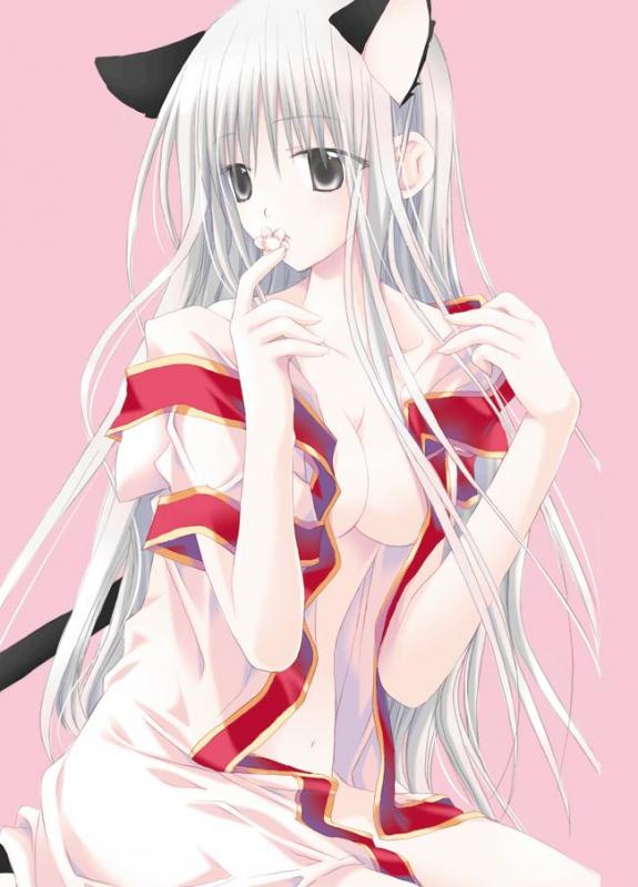animal ears, breasts, cat ears, cat tail, cleavage, grey eyes, grey hair, long hair, tail
