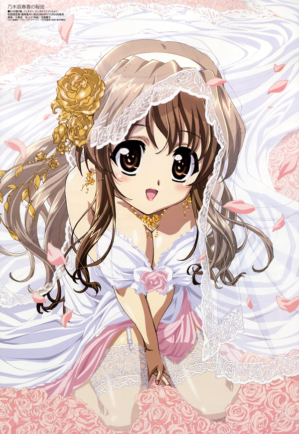 nogizaka haruka, nogizaka haruka no himitsu, tagme, 00s, breasts, brown eyes, brown hair, cleavage, veil