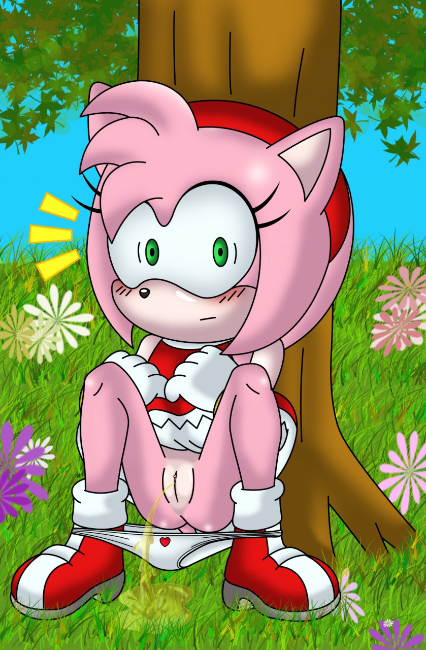 Rule34 – If it exists, there is porn of it / sonictopfan, amy rose / 257215