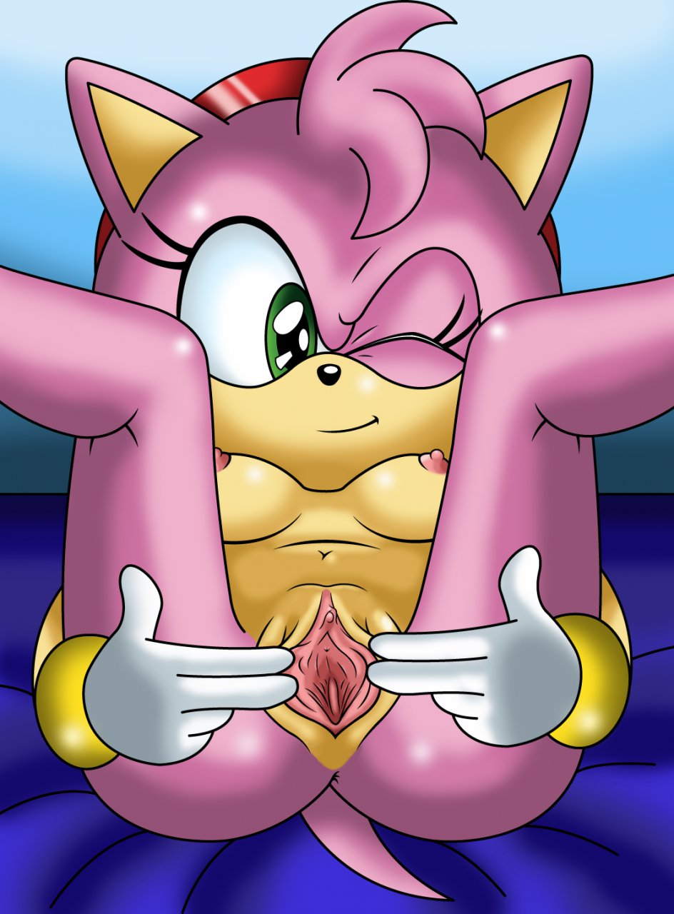 Rule34 – If it exists, there is porn of it / amy rose / 257223