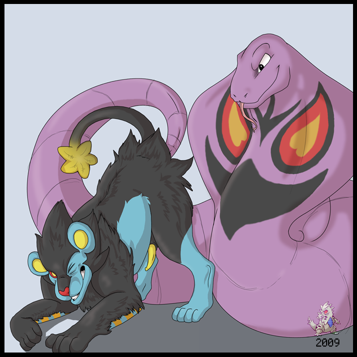 arbok, luxray, nintendo, pokemon, tagme, anal, furry, gen 1 pokemon, gen 4 pokemon, pokemon (creature), simple background, tail