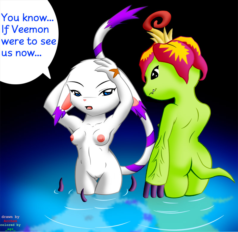 Rule34 – If it exists, there is porn of it / gatomon, palmon / 258197
