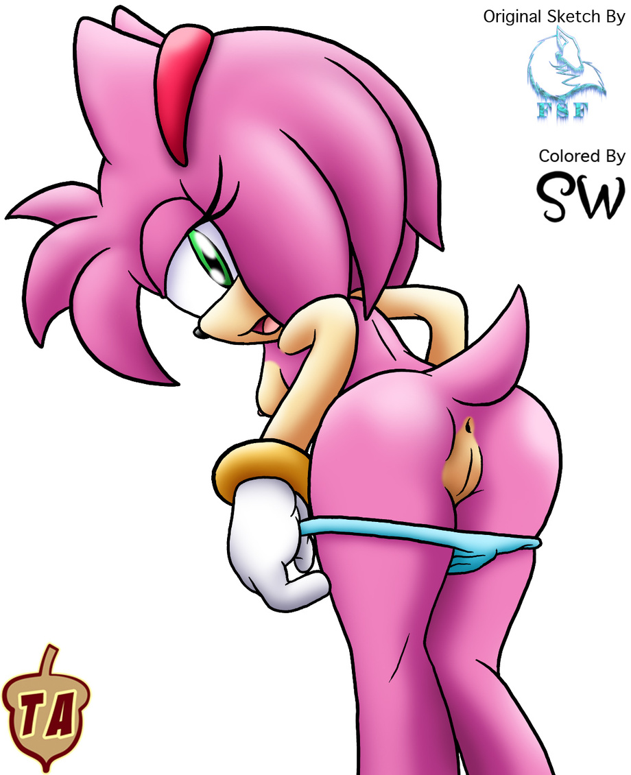 Rule34 – If it exists, there is porn of it / frozesolidfox, amy rose / 261837