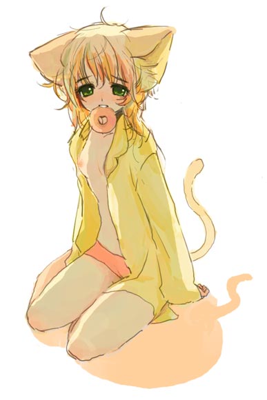 1girl, animal ears, blush, breasts, cat ears, cat tail, donut, female focus, food, green eyes, mouth hold, open clothes, open shirt, shirt, sitting, small breasts, solo, tail