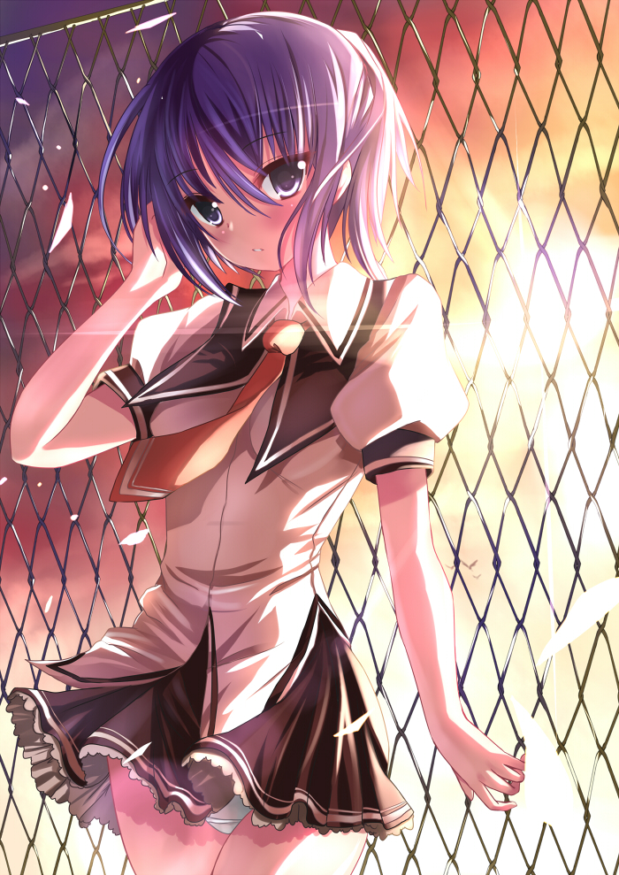 xephonia, youth-bloom, 1girl, blue eyes, blush, chain-link fence, female focus, fence, necktie, petals, purple hair, school uniform, solo, wind
