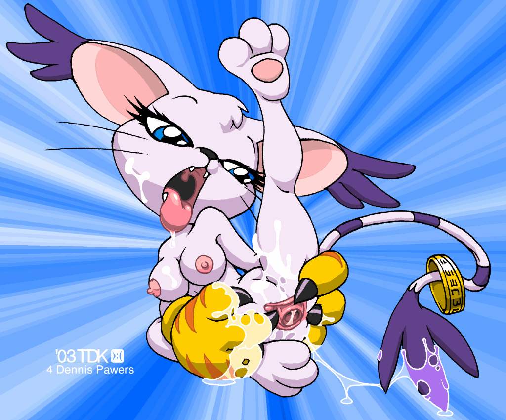 Rule34 – If it exists, there is porn of it / tdk, gatomon / 262635
