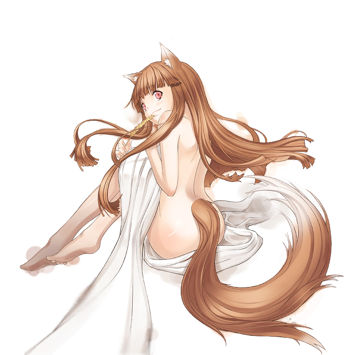 shou harukayou koshi, holo, spice and wolf, 00s, 1girl, animal ears, ass, barefoot, bed sheet, brown hair, feet, female focus, long hair, looking back, mouth hold, naked sheet, nude, red eyes, sitting, smile, solo, tail, wheat, wolf ears, wolf tail