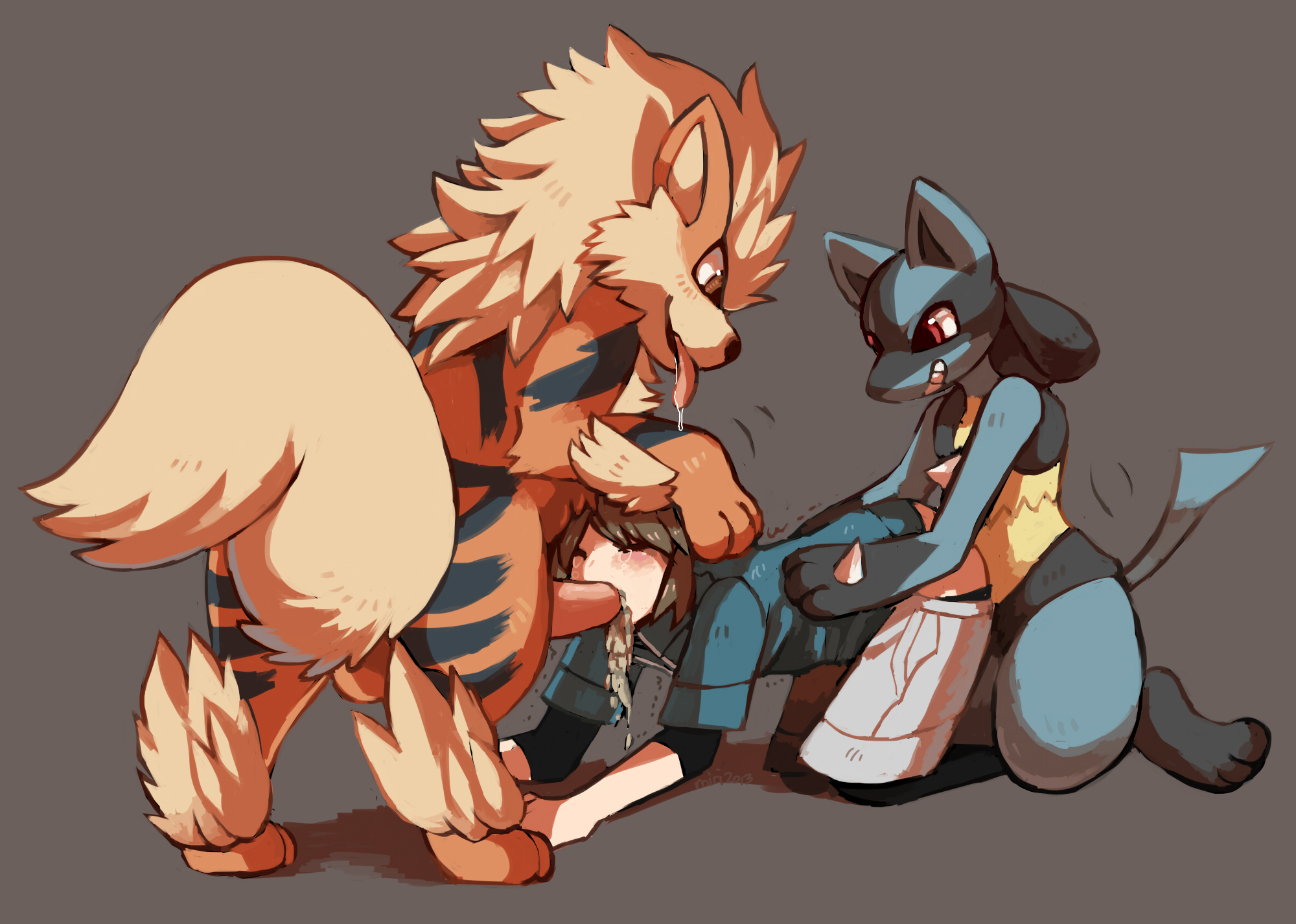 Rule34 – If it exists, there is porn of it / kyouhei, arcanine, lucario / 263572