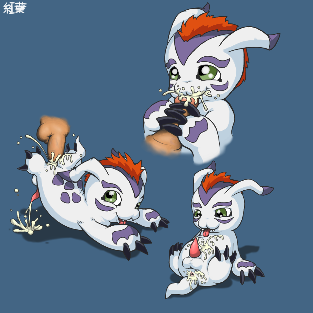 Rule34 – If it exists, there is porn of it / gomamon / 263705