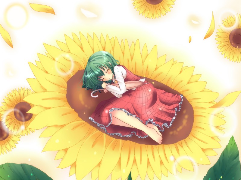 natsumikan, kazami yuuka, touhou, 1girl, ascot, barefoot, closed eyes, female focus, fetal position, flower, green hair, mini person, minigirl, natumikan, on flower, petals, plaid clothes, plaid skirt, plaid vest, short hair, skirt, skirt set, sleeping, solo, sunflower, vest