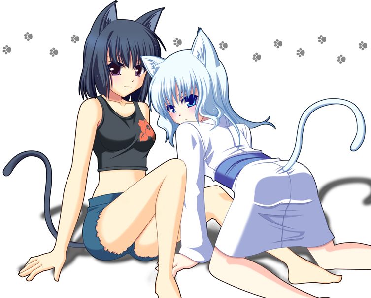 shiboru, nami (aoi shiro), osanai shouko, aoi shiro, 2girls, animal ears, barefoot, cat ears, cat girl, female focus, multiple girls, white background