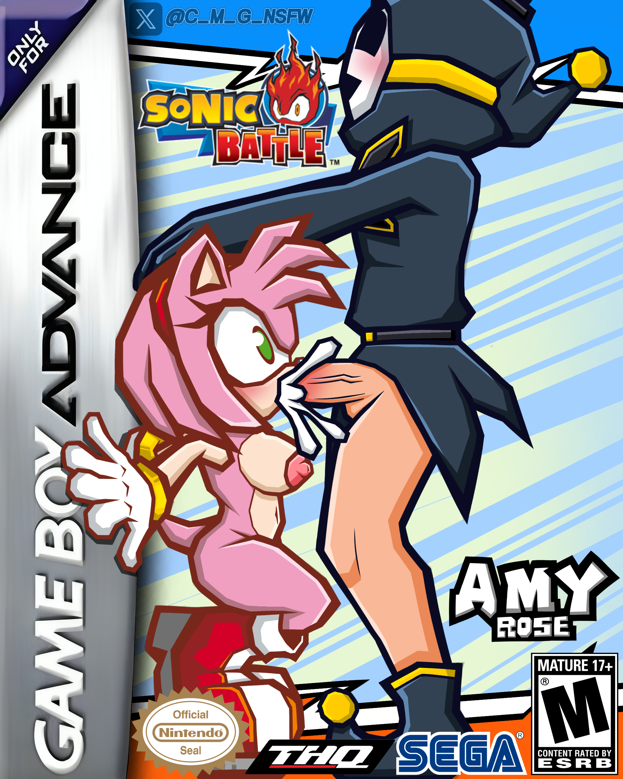 Rule34 – If it exists, there is porn of it / amy rose, shyguy / 8690725
