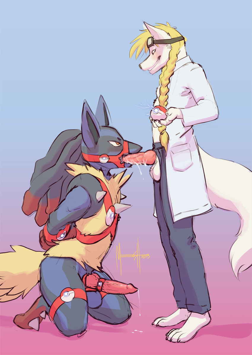 Rule34 – If it exists, there is porn of it / meesh, lucario, mega lucario / 264848