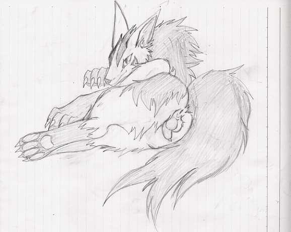 Rule34 – If it exists, there is porn of it / camiod, mightyena / 265173