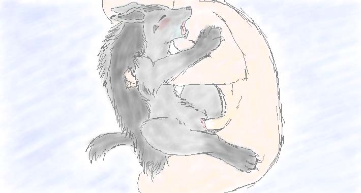 Rule34 – If it exists, there is porn of it / mightyena / 265195