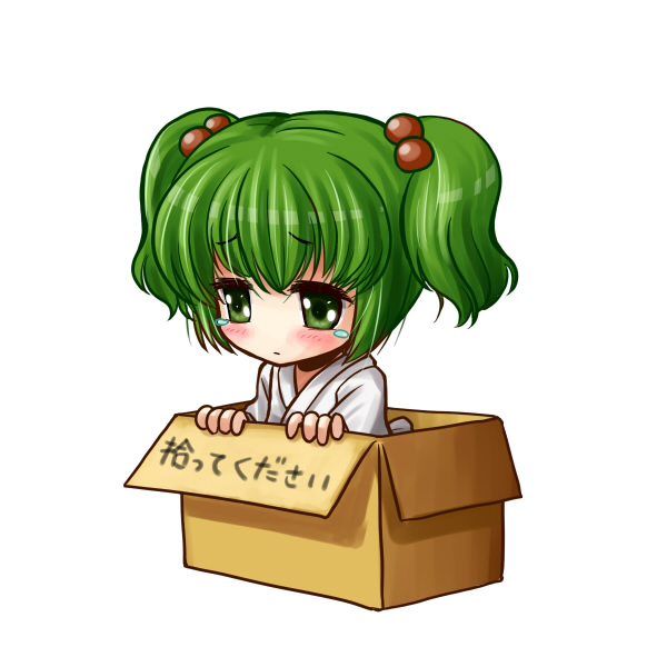 kei (pixiv), kei kei, kisume, touhou, translated, 1girl, box, cardboard box, female focus, for adoption, green eyes, green hair, hair bobbles, hair ornament, in box, in container, matching hair/eyes, sad, short hair, solo, tears, text focus, twintails